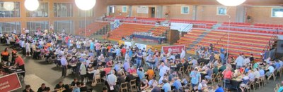 Festa Catalana d'Escacs