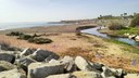 Abalisament de la barra de sorra de la desembocadura del riu per protegir la nidificació i descans d'espècies amenaçades i protegides 
