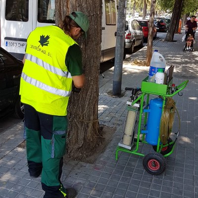 AVÍS DE TRACTAMENT FITOSANITARI