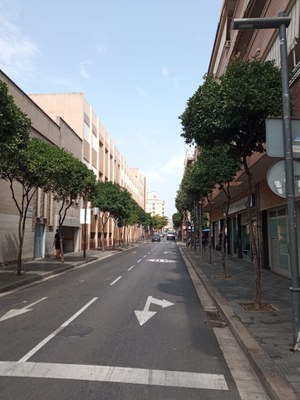 Avís de tractament fitosanitari