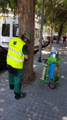 Avís de tractament fitosanitari