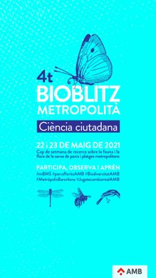 ES BUSQUEN OBSERVADORS PER FER RECOMPTE DE FLORA I FAUNA ALS PARCS I PLATGES METROPOLITANS