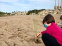 Vine i participa a la plantada, a les platges de Sant Adrià, aquest diumenge a les 11.30