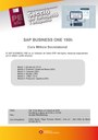 CURS SAP BUSINESS ONE